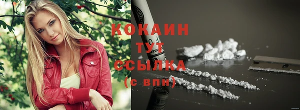 гашик Абинск