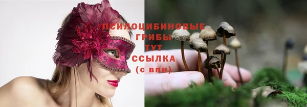 гашик Абинск