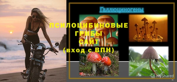 гашик Абинск